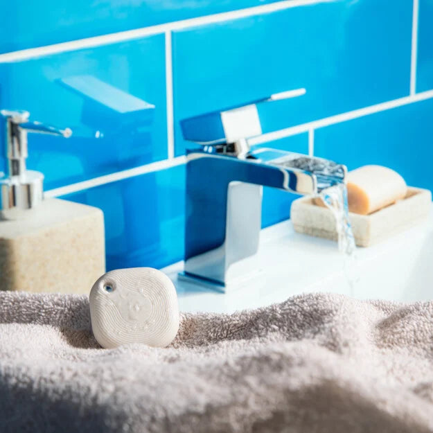 Shelly Blu Button Tough 1 ZB