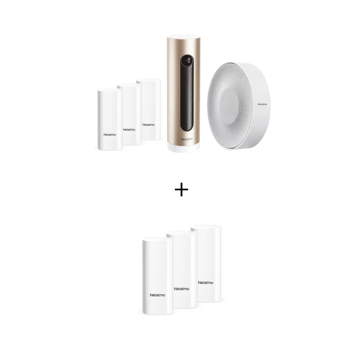 Netatmo Kit Smart Alarm System + DTG PRO in Omaggio