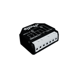 Shelly Qubino Wave 2PM