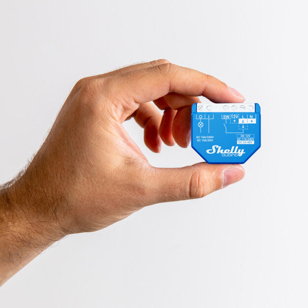 Shelly Qubino Wave 1