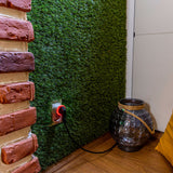 Shelly Qubino Wave Plug S