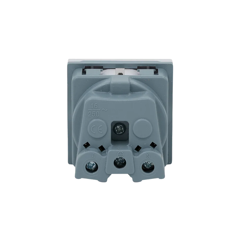 Shelly Socket For Wall Display Stand