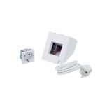 Shelly Socket For Wall Display Stand