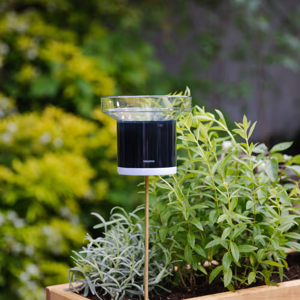 Netatmo Pluviometro Intelligente