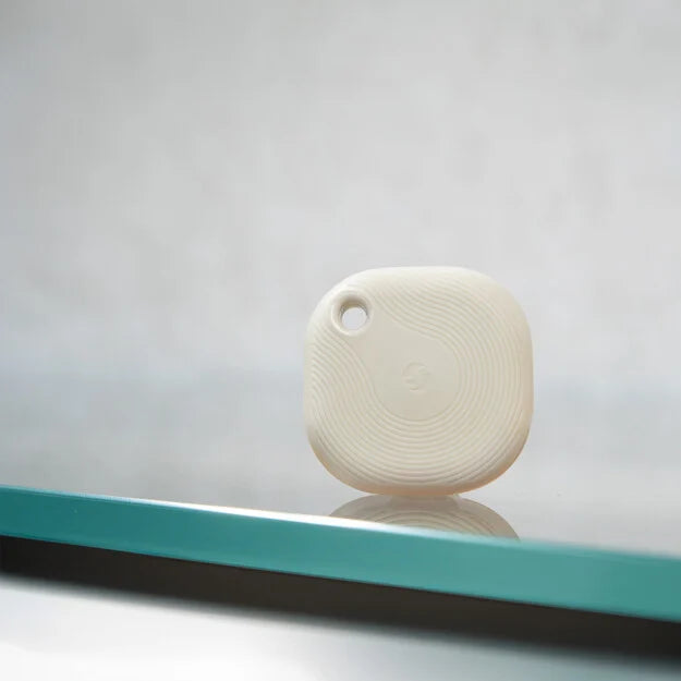 Shelly Blu Button Tough 1 ZB