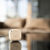 Shelly Blu Button Tough 1 ZB